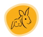 Preview: meine biotik Hase & Kaninchen Icon
